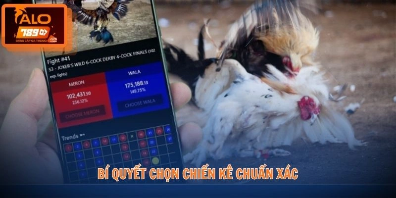 Bí quyết chọn chiến kê chuẩn xác