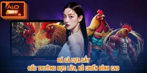 Đá Gà Cựa Sắt - Đấu Trường Rực Lửa, Kê Chiến Đỉnh Cao