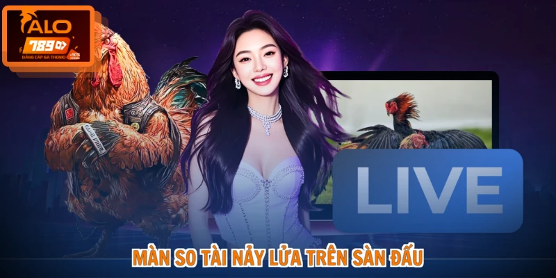 Đá Gà Cựa Dao - Đấu Trường Rực Lửa, Kịch Tính Từng Giây 4 Màn so tài nảy lửa trên sàn đấu